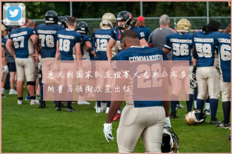 意大利国家队友谊赛大名单公布多纳鲁马领衔众星出征