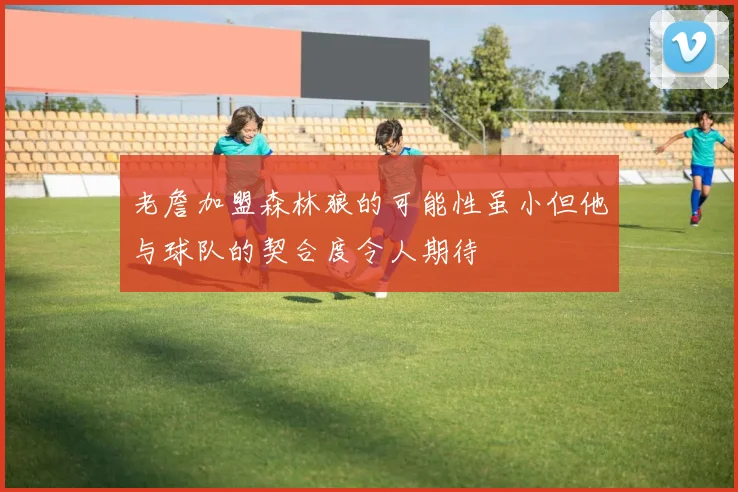 老詹加盟森林狼的可能性虽小但他与球队的契合度令人期待
