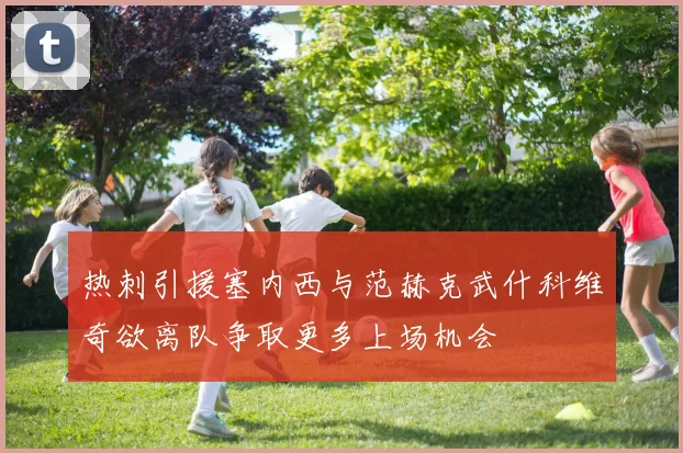 热刺引援塞内西与范赫克武什科维奇欲离队争取更多上场机会